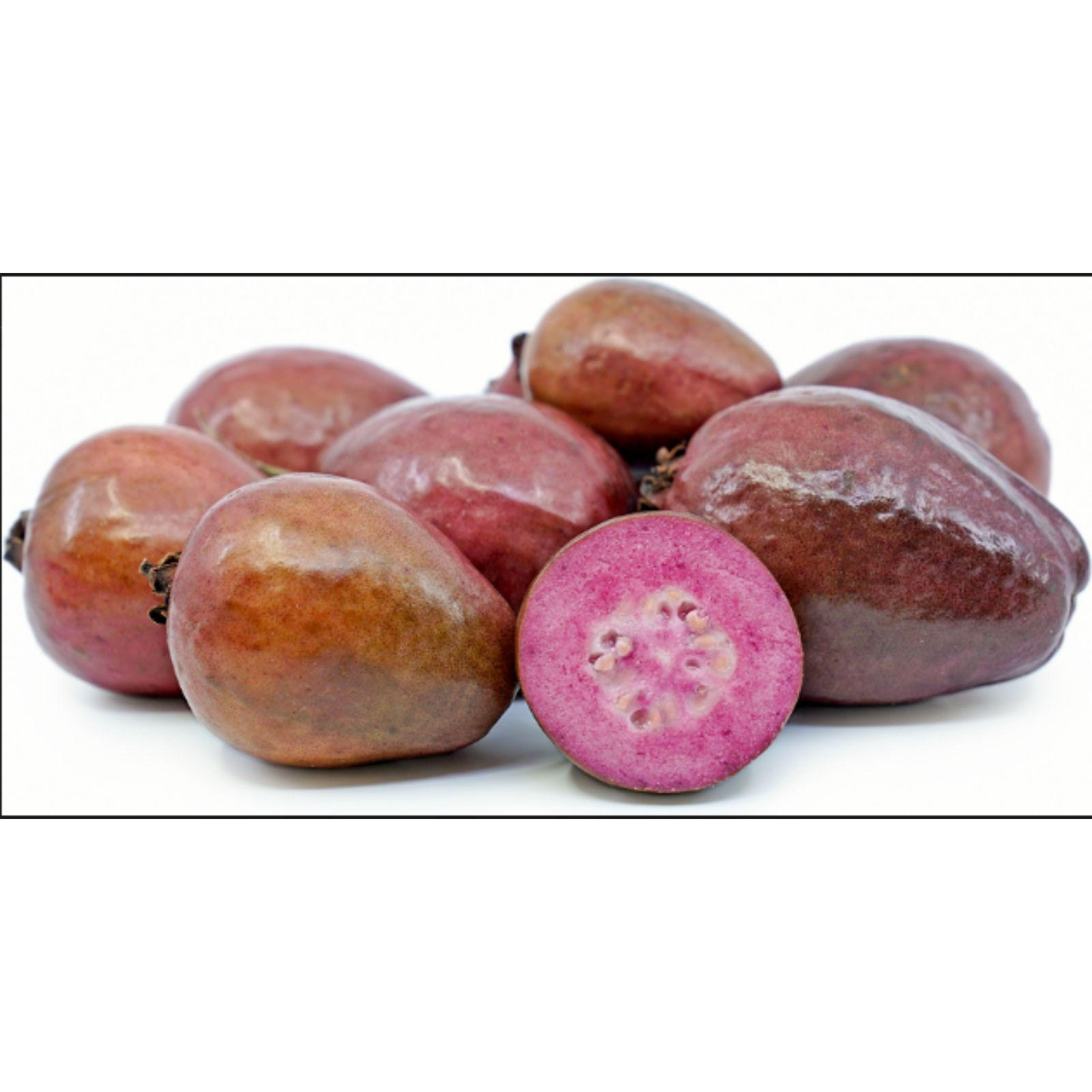 Malaysian Red Guava Tree, 5+ Ft Air-layered Thick-trunk 5-gallon ...