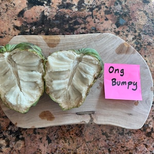 Rare 'Ong Special Bumpy' Grafted Atemoya Fruit Tree - Very Rare Introduction
