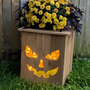 Solar Jack o Lantern Pflanzer