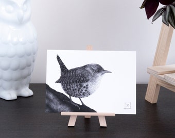 Cute wren - Greeting card - double card