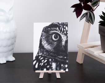 Owl • Greeting card - double card