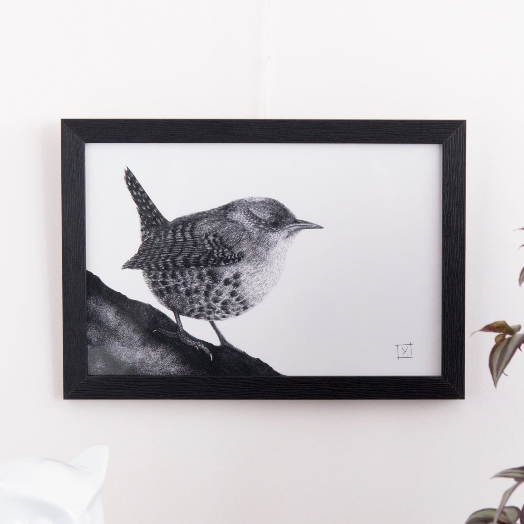 Troglodyte Mignon - Wren Affiche Sérigraphie en Édition Limitée