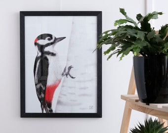 Pic épeiche • Fine art poster in limited edition