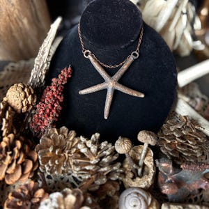 Electro-formed Star Fish on Antiqued Red Copper Chain