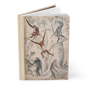 May include: A vintage book cover with an illustration of five monkeys in a jungle setting. The monkeys are depicted in various poses, some swinging from branches, others sitting on branches. The background is a detailed illustration of trees and foliage.
