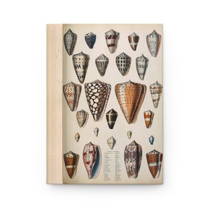 Puede incluir: Un diario de tapa dura con una ilustración vintage de varias conchas marinas. La obra de arte muestra dibujos detallados de diferentes tipos de conchas en tonos marrón, beige y blanco, con una cubierta y lomo color crema.