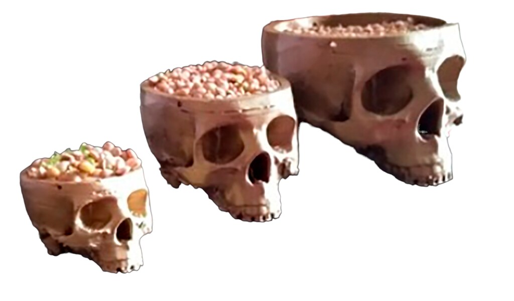 Vaso Fiori A Forma Di Teschio Umano In Resina - Decorazione Halloween, Porta Piante O Contenitore Snack, 16,5x11,5x11 Cm, 427g, Per Scrivania O Bar