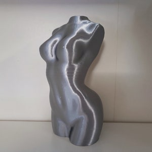 Può includere: Una scultura di torso umano stampata in 3D di colore argento.