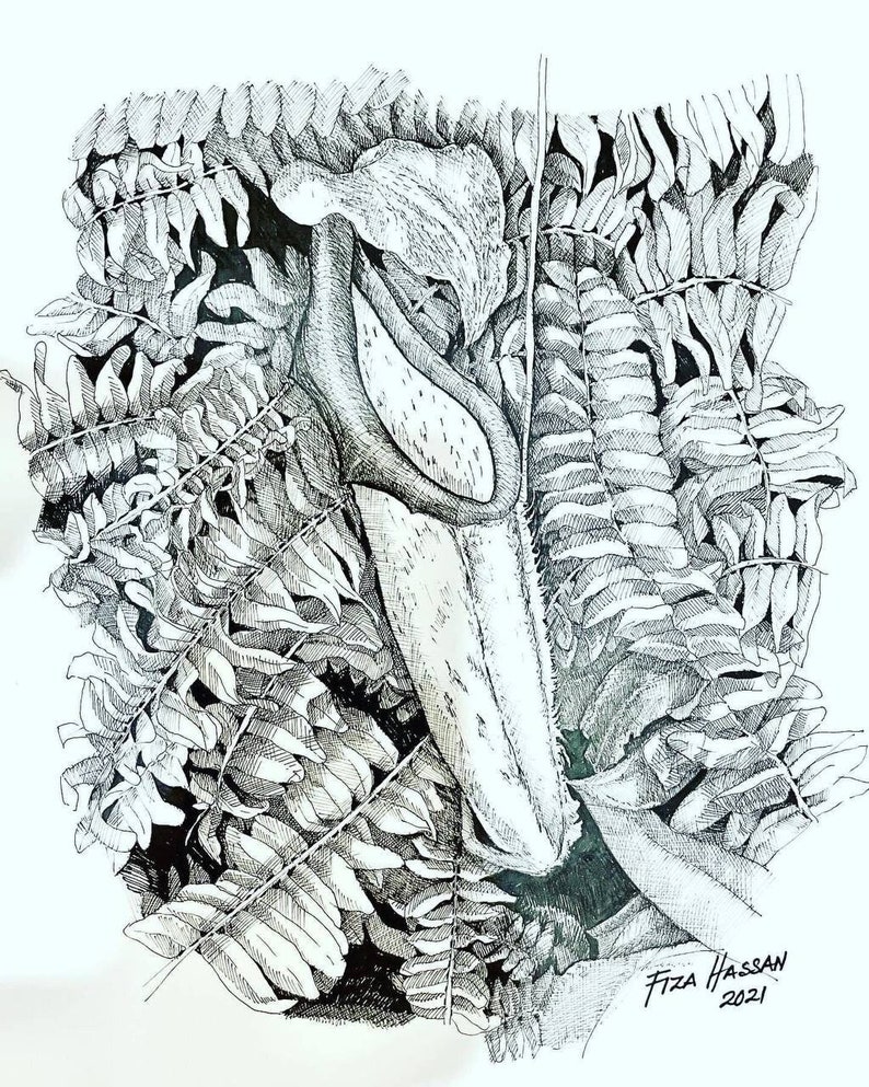 Drawing Pen Periuk Kera - Etsy