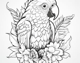 Parrot Simple Vector Image, Black and White Outline Art, Tropical Bird Design, Digital Download for Laser Cutting and Crafts