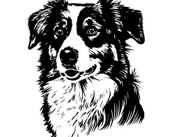 Australian Shepherd & Border Collie SVG, Dog SVG, Cricut Files, Laser File, crafts and hobby