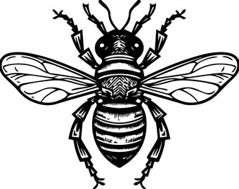 Bee SVG, Honeybee SVG, Bumblebee SVG, Beehive Clipart, Cutting File, Cricut svg, Silhouette svg, Digital Download, Home Decor