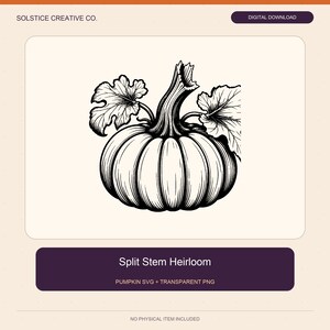 Puede incluir: Una ilustración digital en blanco y negro de una calabaza con un tallo dividido y dos hojas grandes. El texto dice SOLSTICE CREATIVE CO., DIGITAL DOWNLOAD, Split Stem Heirloom, PUMPKIN SVG + TRANSPARENT PNG y NO PHYSICAL ITEM INCLUDED.