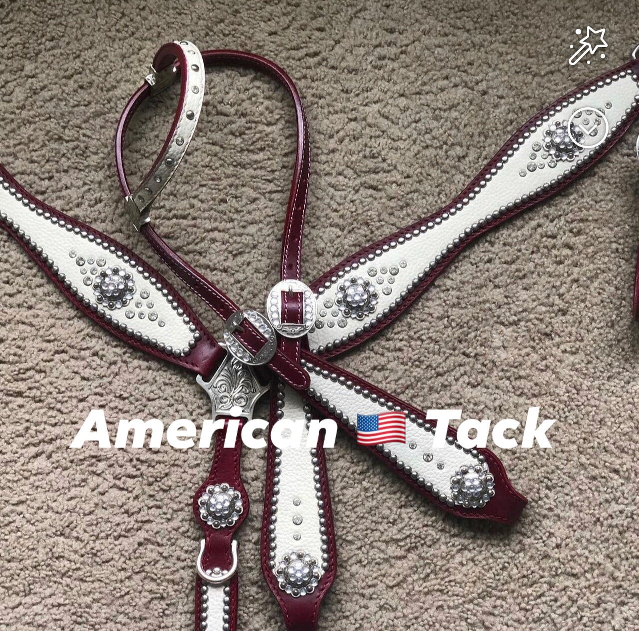 Ensemble Western Tack 100 % cuir nouveau col de poitrine pour