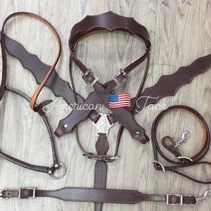 Western Brown leather tack Set of Headstall /Breast Collar and tie down and Wither strap