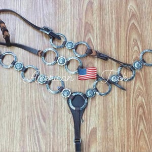 May include: A brown leather horse halter with silver concho accents. The halter has a throatlatch, noseband, and crownpiece. The conchos are round and have a decorative design.
