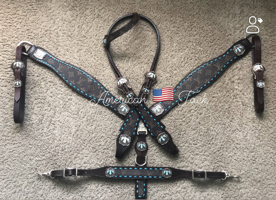 LV Tack Set  Bling horse tack, Horse tack, Horse accessories