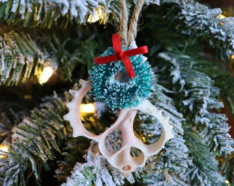 Shell ornament, Christmas ornament, wreath ornament, shell Christmas, beach christmas
