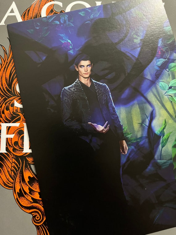 ARTIST INTERNATIONAL PACKAGE💻 Descubra o mundo colorido e divertido do