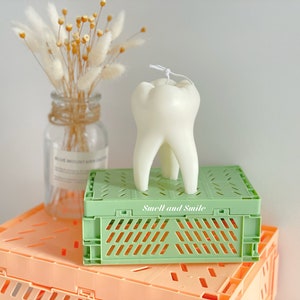Cadeau bougie dentaire pour dentiste, bougie pilier en cire de soja de grande taille, dent géante