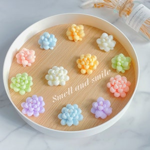 Succulent Scented Soy Candle｜Cactus Pillar Shaped Candles｜ Garden Series Candle