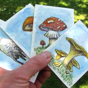 Funghi ACEO Acquerello Originale, Regalo per gli Amanti della Natura, Set di 4 Piccole Opere d'Arte a Prezzi Accessibili, Dimensioni Piccole