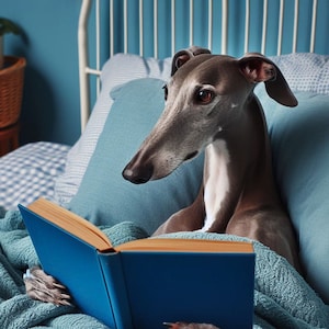 Whippet or Greyhound art print. High quality art print. Ideal gift for dog lover. Whippet wall art. Greyhound art. Picture of greyhound