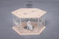 Laser Cut Whippet Tealight Lantern | Dog Lover Home Decor, Sage green or cream