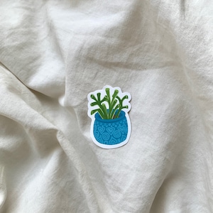 petit autocollant de plante de jade