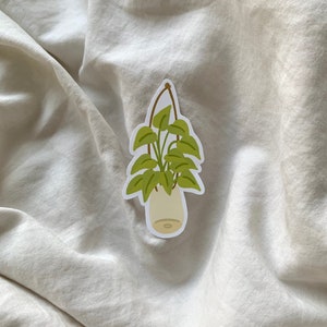 autocollant de plante pothos