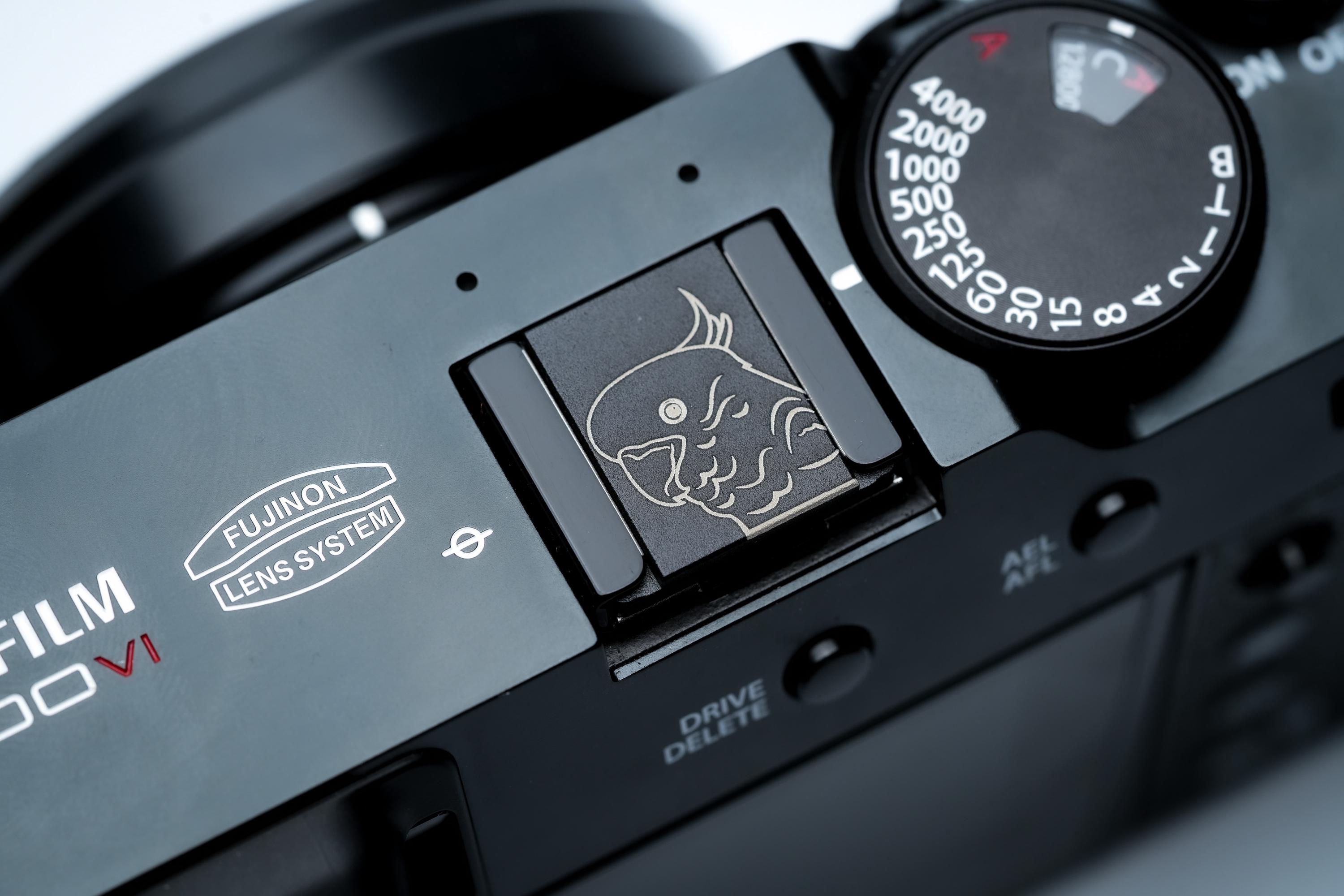 Fujifilm X100vi Hotshoe - Etsy