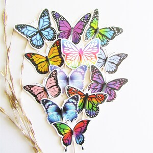 Cupcake Toppers, Schmetterling Cupcake Toppers, bunte Schmetterlinge, handgemacht, Geburtstagsfeier, Partydekoration, Bridal Shower