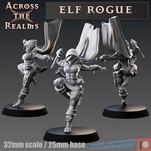 Hooded Female Half Elf Rogue with two weapons from Across the Realms | 3D Print | Tabletop Miniature | DnD | Assassin | Thief