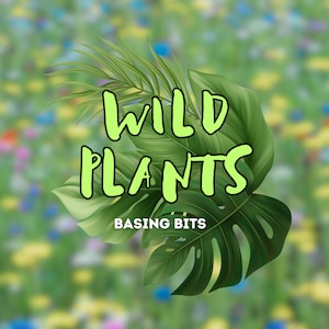 Op de afbeelding: Een groen en wit grafisch ontwerp met de tekst "WILD PLANTS" en "BASING BITS" op een wazige achtergrond van groene, blauwe en gele bloemen.