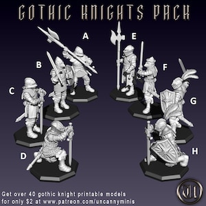 PALADIN KNIGHT HERO from Uncanny Minis | 3D Print | Tabletop Model | Rpg | Pathfinder | Frostgrave | DnD