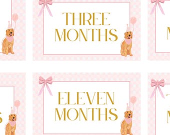 One Golden Birthday editable party banner photo topper template 5x7 | golden retriever, first birthday party 1st, golden birthday | CUSTOM
