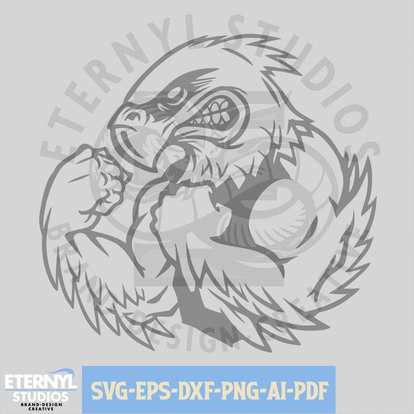 Hawks Mascot SVG and PNG, Fighting Hawks, Redtails, School Mascot, Football Mascot, Sports Mascot, Digital Download, Vector, Cut File