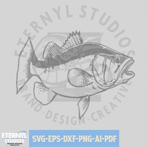 Bass SVG PNG, Forellenbarsch SVG, Bass Clipart, Seebarsch, Bass geschnitten Datei, digitaler Download, Fische geschnitten Datei, Angeln Vektor, Seefischerei