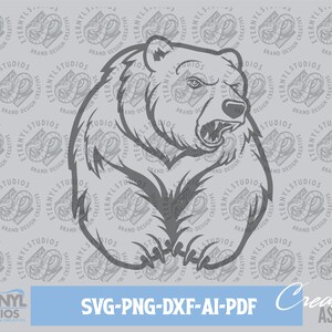 Bear SVG PNG, Polar Bear, Brown Bear, Black Bear, Sports Bear, Bear Logo, Bear Mascot, Tough Bear, Vector Art, Digital Download, Cut File