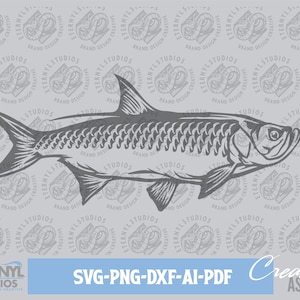 Tarpon SVG PNG, Tarpon SVG, Instant Download, Silver king, Tarpon Clipart, Atlantic Tarpon, Cut File, Fish Cut file, Trophy Fishing, Vector
