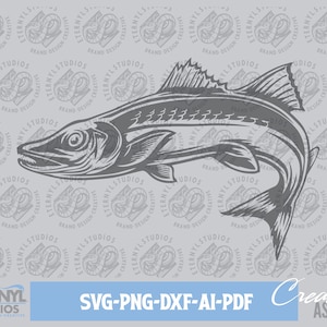 Pike SVG PNG, Northern Pike, Instant Digital Download, Fishing, Fish, Fishing Art, Fisherman, Cutting Template, Silhouette, Cricut, Cameo