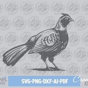 Pheasant Vector Art: Wildlife Cut Template (Digital Download)