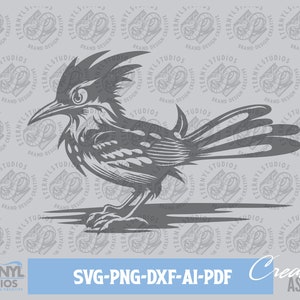 Roadrunner SVG PNG, chaparral, Roadrunner Mascot, Digital Download, Southwestern Clipart, Cut File, Silhouette, Cricut, Cameo