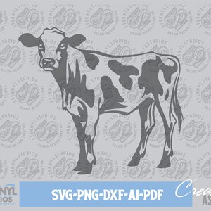 Cow SVG PNG, Calf, Instant Download, Holstein, Farm, Cattle, Dairy Cow, Baby Cow, Bovine, Farm art, Cut File, Silhouette, Cameo, Cricut