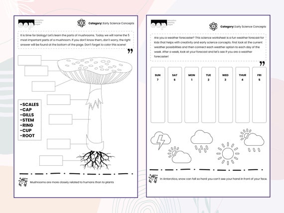 early science worksheets preschool activity kindergarten etsy