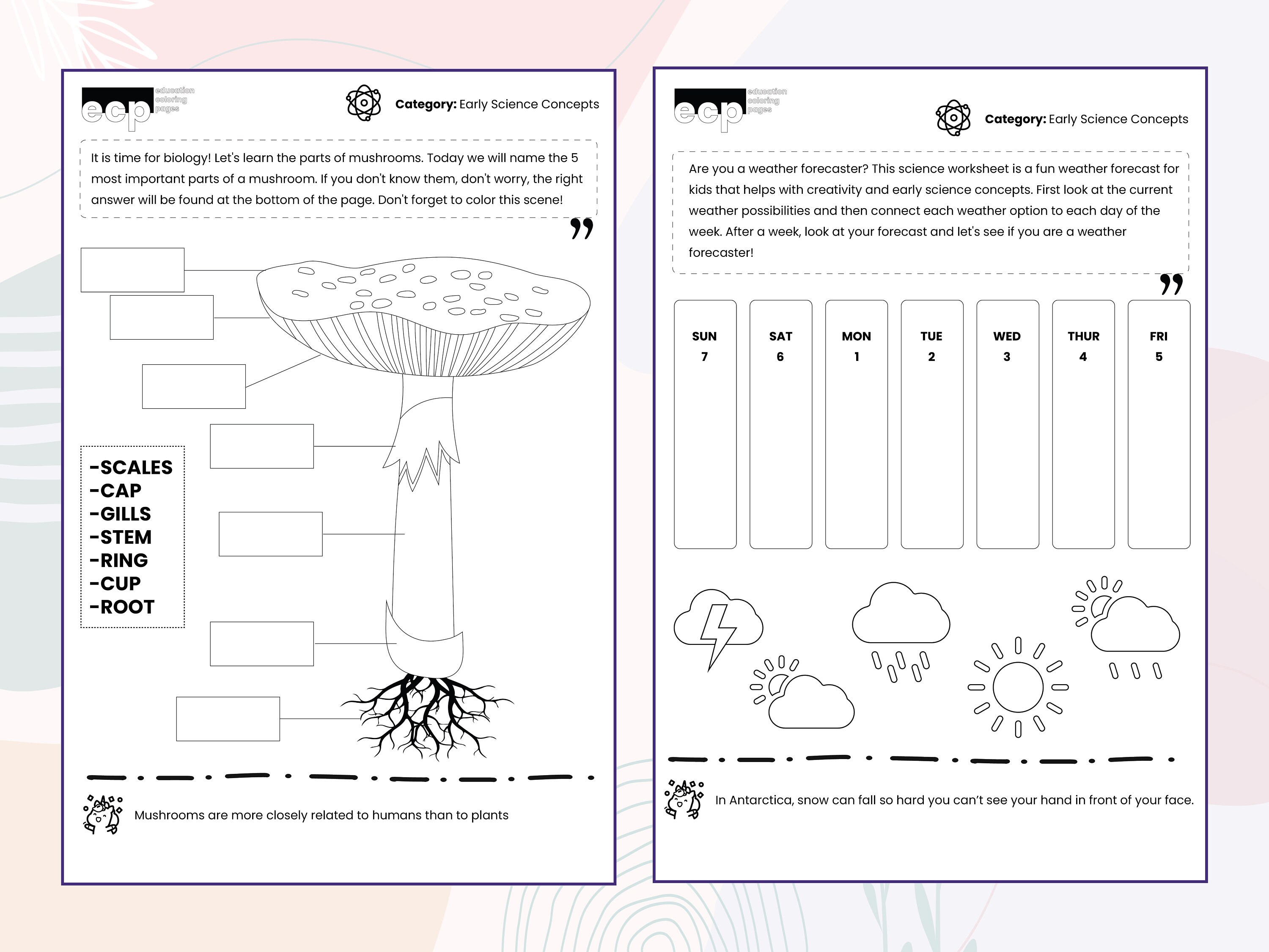early science worksheets preschool activity kindergarten etsy
