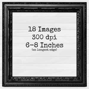 May include: A black picture frame with a white background and the text "18 Images 300 dpi 6-8 Inches (on longest edge)"