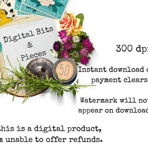 May include: Digital collage sheet with the text "Digital Bits & Pieces" and a variety of images, including flowers, a clock face, and a vintage postage stamp. The text "300 dpi" is also included.