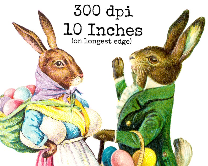 Vintage påskharar Clipart | Påskhare PNG | Digitala efemera | Sublimeringsfiler | Skräpjournal | 300 dpi | Kommersiellt bruk bild 3