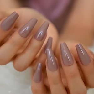 Glue On Press On Nails - Long Coffin - Taupe Brown